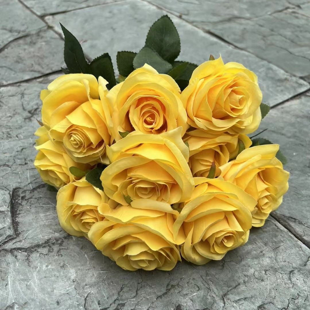 10 têtes xi shi mei jaune