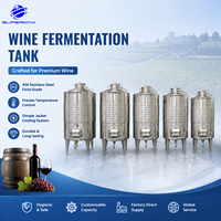 Cuve de Fermentation en Acier Inoxydable 304/316 avec Enfouissement Thermique pour Vin Rouge, Fermenteur pour Vin de Fruits, Équipement de Production Vinicole