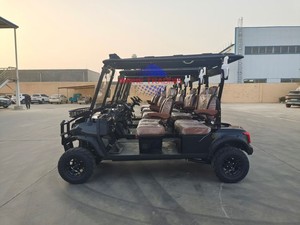 Fabricant professionnel de voitures de golf électriques tout-terrain pour clubs de chasse, scooter de golf électrique avec éclairage LED - Product Image 2