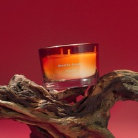Ensemble cadeau de diffuseur de parfum de luxe avec boîte d'emballage, bougies parfumées à la cire de soja dans un flacon rond en verre, étiquette privée personnalisée