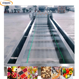 Línea de Máquinas Avanzadas para Limpieza y Pelado de Frutas y Verduras - Product Image 2