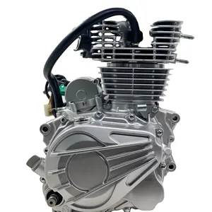 DAYANG 175cc air-cooled Engine for Motorcycle Three Wheel Cargo Tricycle Silver OEM Cylinder Style Color CCC Style Performance