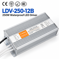 Alimentation LED étanche 250W 12V 20.8A IP67, adaptateur de commutation scellé LDV-250 pour éclairage paysager et signalétique dynamique