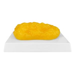 Modèle de graisse de 7,5 lb-Motivateur visuel de perte de poids avec texture réaliste pour les clients du gymnase et les cours de nutrition - Product Image 4