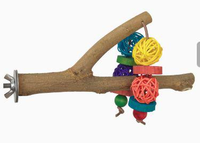 Perchoir en Y naturel 2-en-1 pour oiseaux, jouet de forrage en branche de bois avec maïs et noix véritables pour perruches, calopsittes et conures à mâcher