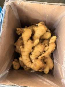 Trung Quốc gừng tươi khô khô gingers giá bán buôn mất nước không khí khô gừng gốc - Product Image 5