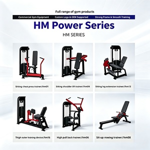 Machine de musculation commerciale tout-en-un pour extensions et flexions assises des jambes et biceps, en acier S-HM13-1 - Product Image 3