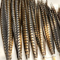 Plumes de faisan de haute qualité pour accessoires de spectacle théâtral, coiffes de défilé, accessoires de cosplay d'Halloween, fabrication d'attrape-rêves