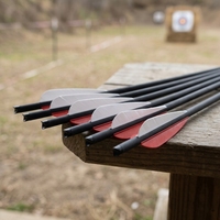 HT Meilleur Prix Flèches de carabine à poulies 8,8 mm avec pointe en acier et plume en plastique, 16-28 pouces, pour le tir à l'arc, la chasse et le tir sportif