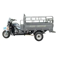 Powerful 200cc cargo motorcycle trike With Modern Technology –