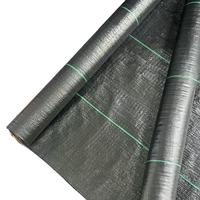 Toile de paillage en polypropylène haute densité pour jardins en pente et aménagements paysagers - Tissu de couverture du sol durable