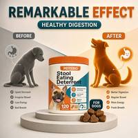 Vente en gros de friandises à mâcher pour chiens, soutien digestif, probiotiques, prébiotiques, complément alimentaire pour la santé intestinale des chiots, chiens adultes et chiens âgés, OEM