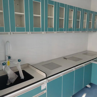 Banc de travail de laboratoire moderne en acier et bois avec évier en PP résistant aux produits chimiques pour hôpital, école, usine industrielle et laboratoire