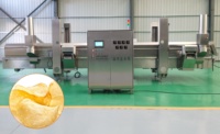 Friteuse à chips continue pour poulet, bœuf, porc, frites, ligne de traitement pour usine de transformation
