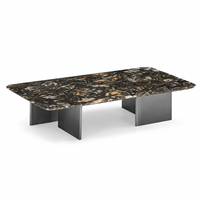 Table basse moderne ZEECI rectangulaire avec plateau en pierre exotique platine et structure en bois durable, table de cocktail pour salon, garantie de 2 ans
