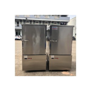 Congélateur à glace rapide en acier inoxydable de haute qualité pour aliments, machine de surgélation rapide, prix de vente - Product Image 5