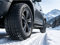 Neumáticos de Invierno de Alto Rendimiento PCR para Autos y SUV, Fábrica China, 285/30R20 295/35R20 305/40R20