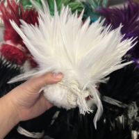 Plumes de coq naturelles en gros de 4 à 8 pouces pour la fabrication de chapeaux, éventails, artisanat, arrangements floraux de mariage et décoration