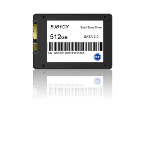 Op Maat Gemaakt Voor Uw Behoeften: 512Gb Ssd Met Flexibiliteit, Prestaties En Aanpasbare Functies