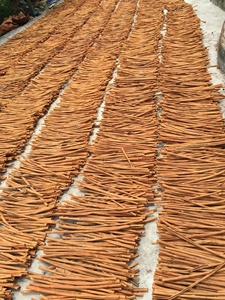 GXWW fabbrica fornitura di alta qualità organico Cassia rotoli di cannella bastoncini di spezie essiccate pezzo di erba grezza prezzo all'ingrosso diretto cina - Product Image 6