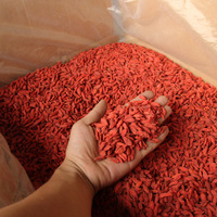 Topkwaliteit gedroogde Goji-bessen, gedroogde Goji-bessen in bulk, importeur van gedroogde Goji-bessen, Wolfberry-zaad, Chinees