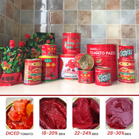 Tomates en conserve de haute qualité sans additifs, goût naturel pur, faciles à conserver et à cuisiner, adaptées à la sauce de la cuisine quotidienne