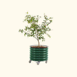 Zincato metallo ferro esterno <span class=keywords><strong>giardino</strong></span> ovale rialzato letto da <span class=keywords><strong>giardino</strong></span> fioriere vasi per <span class=keywords><strong>giardino</strong></span> esterno fioriera letto Kit - Product Image 2