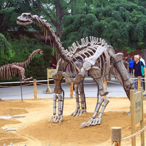 Fósil de dinosaurio con restos antiguos prehistóricos de tamaño Original de vida personalizada de fábrica de alta calidad de Zigong para exposición - Product Image 2