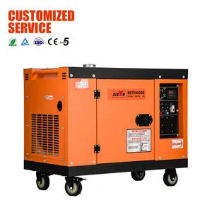 Bizon Nieuwe Populariteit Elektrische Start 240V 415V 192f 6kw 6000Watt Stille Dieselgenerator