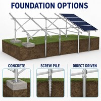 Options de pieux vissés en béton sur mesure ou de poteaux à entraînement direct pour la structure de fondation de montage solaire au sol, adaptées aux conditions du projet