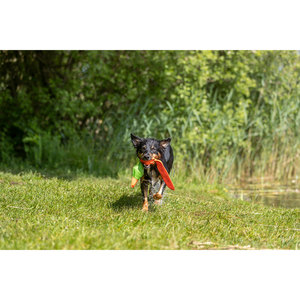 ของเล่นเป็ดกระพือปีก โพลีเอสเตอร์ 50 ซม. ของเล่นเคลื่อนไหวแบบอินเทอร์แอคทีฟสำหรับสัตว์เลี้ยง - Product Image 5