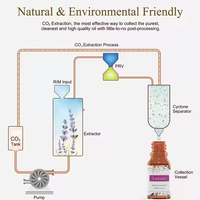 Huile Essentielle de Thym Naturelle en Gros et Sous Marque Privée pour Diffuseur d'Aromathérapie