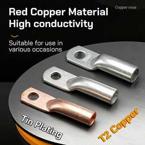 Terminales <span class=keywords><strong>de</strong></span> Anillo para <span class=keywords><strong>Cable</strong></span> <span class=keywords><strong>de</strong></span> Cobre <span class=keywords><strong>de</strong></span> 250V, Serie DTG, 16mm, 25mm, 35mm, Sin Aislamiento, para Uso Industrial - Product Image 1