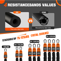 Bandas de entrenamiento ajustables Juego de bandas de resistencia para tirar hacia arriba Bandas de tubo de fitness de alta resistencia Accesorios deportivos de gimnasio para entrenamiento de fuerza
