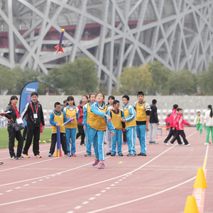 Mini Junior Javelin Equipo de Atletismo de pista y campo para niños Jabalinas de espuma seguras para deportes escolares y entrenamiento de tiro - Product Image 1