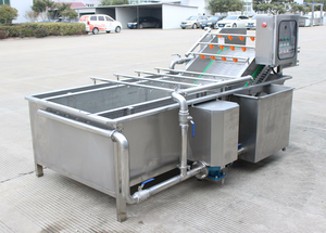 Trái Cây Và Rau Rửa Làm Sạch/Waxing/Sấy/Dòng Máy Dây Chuyền Sản Xuất Rửa Rau - Product Image 3