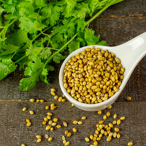 Semillas de Cilantro Indio Secas Enteras de Grado Premium 100% Naturales de Gujarat para Comercio de Especias al por Mayor - Product Image 1