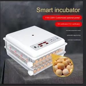 Nueva Incubadora <span class=keywords><strong>de</strong></span> <span class=keywords><strong>Huevos</strong></span> <span class=keywords><strong>de</strong></span> Pollo Totalmente Automática, Mini Incubadora Inteligente con Alta Tasa <span class=keywords><strong>de</strong></span> Eclosión - Product Image 2