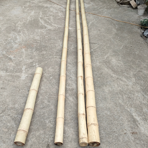 Venta al por mayor de tiras de bambú de patrón largo económicas postes de bambú gruesos naturales para la construcción de materias primas decorativas de bambú para agricultura - Product Image 3