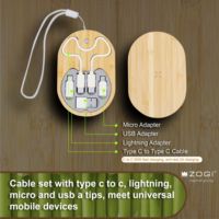 Kit de câbles de voyage en bambou 2 en 1, chargeur sans fil de type C, câble de charge USB, câble de données