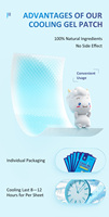 Lijitang 2026 Gel de refroidissement à effet rapide Patch antipyrétique Patch de refroidissement de Gel Patch de refroidissement de glace pour enfants et adultes