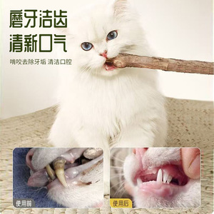 Boules de catnip, sucettes, friandises pour chat à lécher, pour le nettoyage des dents, à mâcher, jouets pour chat, jouets d'entretenissement et de relaxation pour animaux de compagnie. - Product Image 5