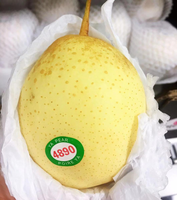 Groothandelsprijs Verse Witte Peer Chinese Leverancier Import Bulk Kroonpeer uit Shandong 12cm
