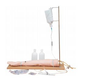 Modèle de bras de perfusion multifonctionnel pour soins infirmiers cliniques avec base pour les sciences médicales - Product Image 1