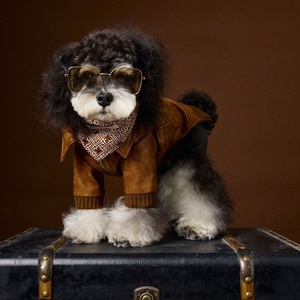 <span class=keywords><strong>Hot</strong></span> Selling Brown Luxus Hunde mäntel Haustier Kleidung Haustier Jacke Winterkleid ung für Hunde - Product Image 3