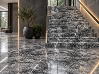 Dalles de marbre argenté d'Italie en pierre naturelle pour plateaux de table à manger, plans de travail de cuisine, panneaux muraux, parois de douche et marches d'escalier