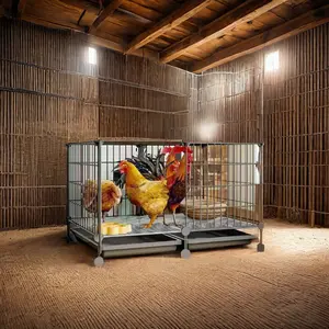 Gran oferta 2024, jaula de pollo de capa personalizada para producción de huevos y jaula para mascotas de granja avícola