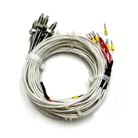 Sonde de type M8 K J PT100 avec câble fileté, capteur de température thermocouple NTC 10K 100K thermistance pour chaudière haute efficacité