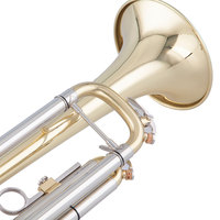 Taishan Brand High Quality Wholesale Brass Bb Key Gold Lacquer Trumpet for Performance