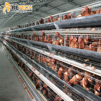 Cage à poules pondeuses à 4 niveaux en acier galvanisé à chaud, capacité 160 oiseaux, équipement d'élevage avicole à vendre